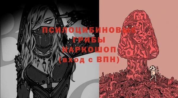 гидра Кукмор